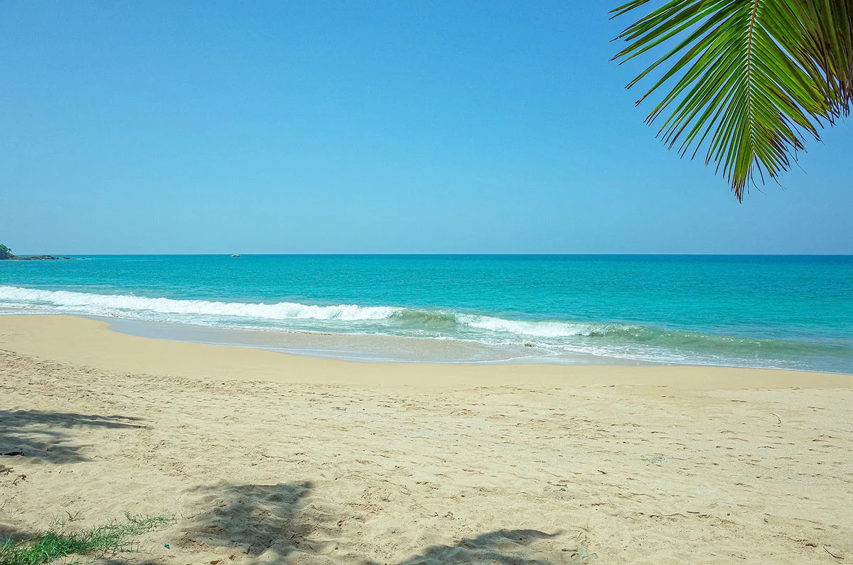 Bentota Beach Unveiled: Your Gateway to Tropical Heaven