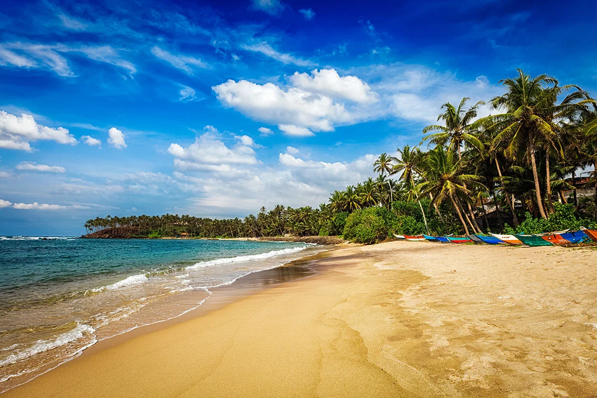 Mirissa Beach Escapade: Your Ultimate Travel Guide