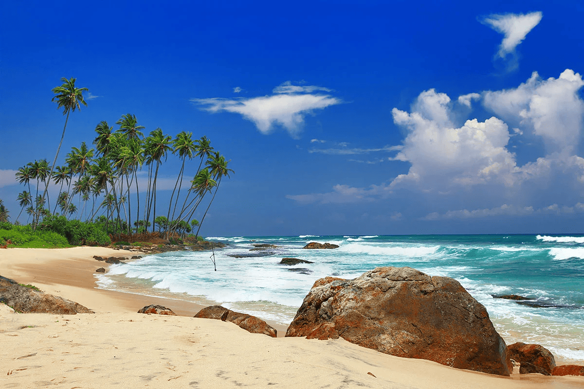 Surfing and Beyond: Weligama Beach’s Allure for Travelers