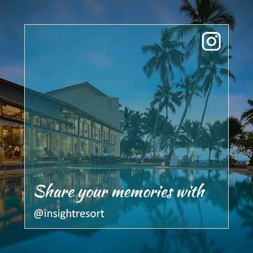 Insight Resort