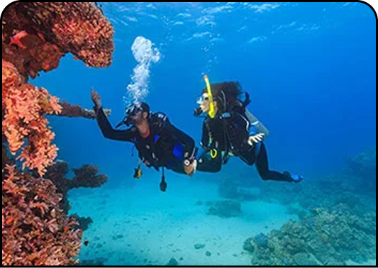 Diving